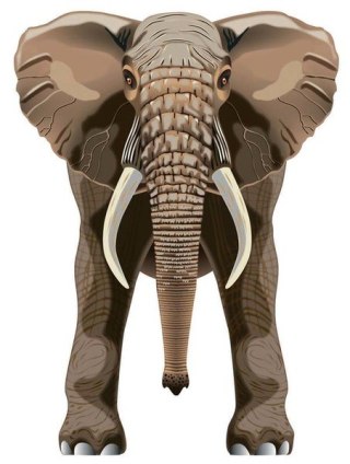 LATAWIEC BRAINSTORM - WNS SKYZOO 40X30" NYLON ELEPHANT