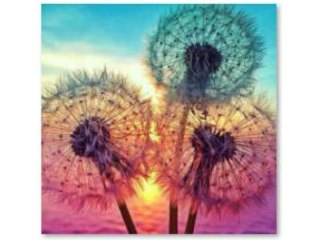HAFT DIAMENTOWY, OBRAZ, MOZAIKA DIAMENTOWA DIAMOND PAINTING, DMUCHAWCE 30X30CM