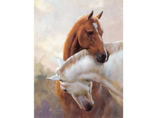 HAFT DIAMENTOWY, OBRAZ, MOZAIKA DIAMENTOWA DIAMOND PAINTING, DWA KONIE 30X40CM
