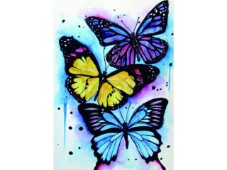 HAFT DIAMENTOWY, OBRAZ, MOZAIKA DIAMENTOWA DIAMOND PAINTING, KOLOROWE MOTYLE 30X40CM
