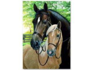 HAFT DIAMENTOWY, OBRAZ, MOZAIKA DIAMENTOWA DIAMOND PAINTING, KONIE 30X40CM