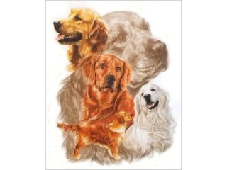 HAFT DIAMENTOWY, OBRAZ, MOZAIKA DIAMENTOWA DIAMOND PAINTING, PIES - GOLDEN RETRIEVER 30X35CM