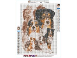 HAFT DIAMENTOWY, OBRAZ, MOZAIKA DIAMENTOWA DIAMOND PAINTING, PIES - OWCZAREK AUSTRALIJSKI 30X40CM