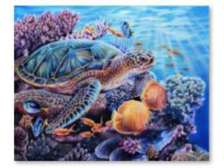 HAFT DIAMENTOWY, OBRAZ, MOZAIKA DIAMENTOWA DIAMOND PAINTING, RAFA KORALOWA 40X30CM