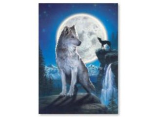HAFT DIAMENTOWY, OBRAZ, MOZAIKA DIAMENTOWA DIAMOND PAINTING, WILK 30X40CM