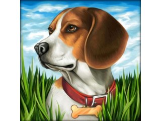 HAFT DIAMENTOWY, OBRAZ, MOZAIKA DIAMENTOWA DIAMOND PAINTING, PIES BEAGLE 30X30CM