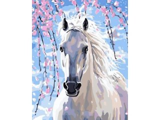OBRAZ MALOWANIE PO NUMERACH RAMA 40X50CM BIAŁY RUMAK