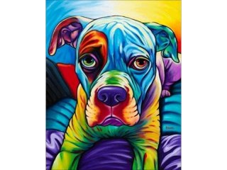 OBRAZ MALOWANIE PO NUMERACH RAMA 40X50CM BULDOG - PIES W KOLORZE