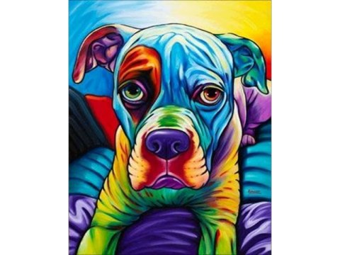 OBRAZ MALOWANIE PO NUMERACH RAMA 40X50CM BULDOG - PIES W KOLORZE