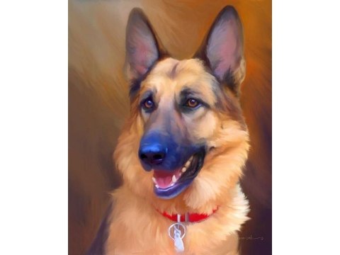 OBRAZ MALOWANIE PO NUMERACH RAMA 40X50CM PIES - OWCZAREK NIEMIECKI